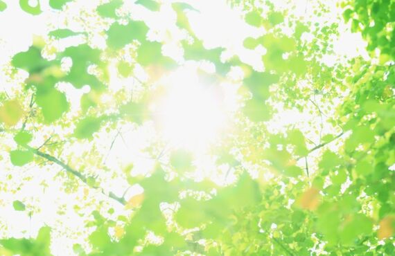 ハラスメント研修ならKCCF株式会社へ